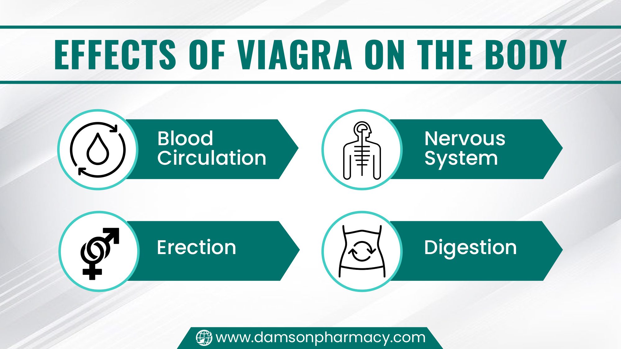 Effects of Viagra on the Body