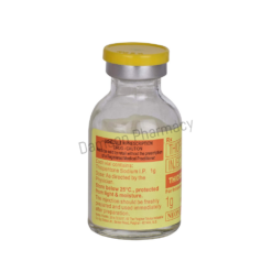 Thiosol Thiopentone 1g Injection 2