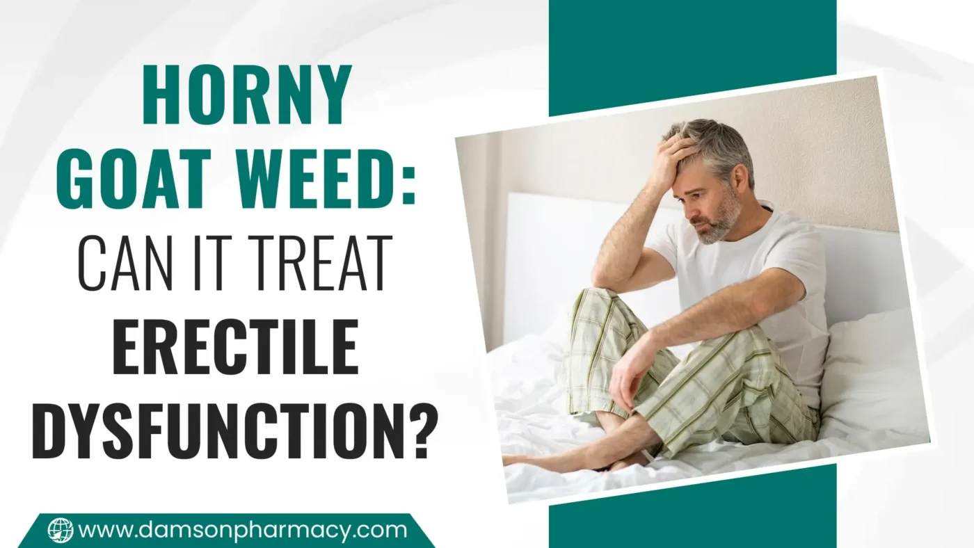 Horny Goat Weed Can It Treat Erectile Dysfunction