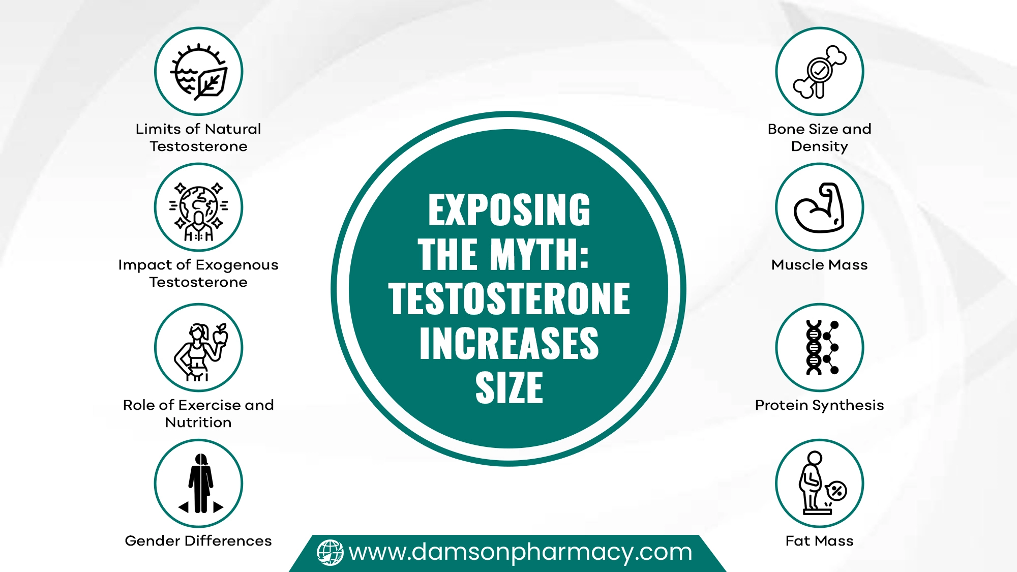 Exposing the Myth Testosterone Increases Size